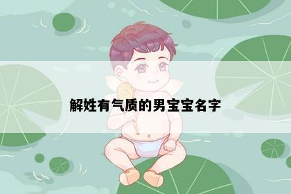 解姓有气质的男宝宝名字